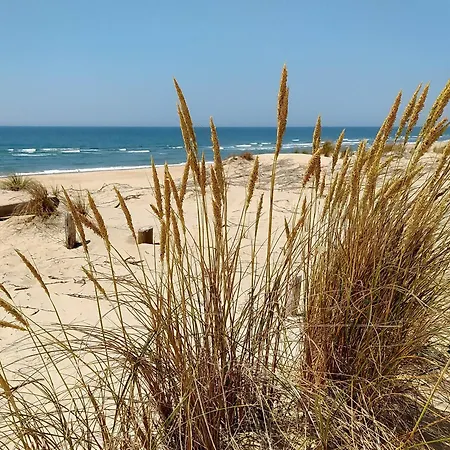 Rénovée Avec Jardin, Climatisation, Wi-fi, 8 Pers, La Palmyre - Fr-1-705-52 * Les Mathes